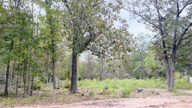 TBD Panther Lane, Livingston, TX 77351