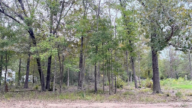 Listing photo 2 for TBD Panther Lane, Livingston TX 77351