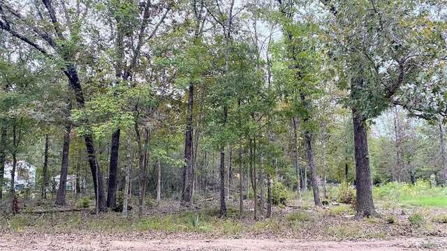 TBD Panther Lane, Livingston, TX 77351
