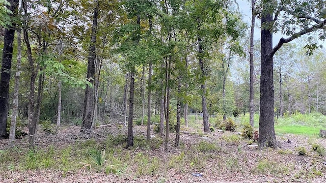 Listing photo 3 for TBD Panther Lane, Livingston TX 77351