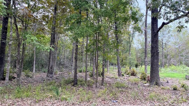 TBD Panther Lane, Livingston, TX 77351