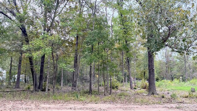 TBD Panther Lane, Livingston, TX 77351