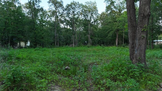 TBD Panther Lane, Livingston, TX 77351