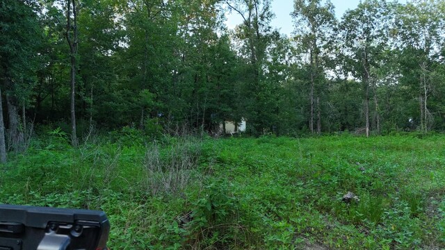 TBD Panther Lane, Livingston, TX 77351