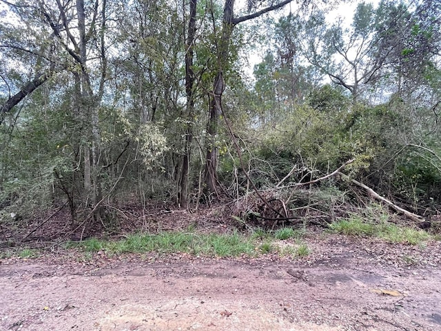 0 Elkfield Ln, Humble, TX 77338 - photo 1