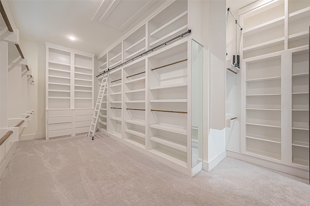 walk in closet with carpet floors and a barn door