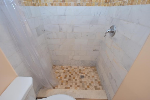 bathroom with toilet and a shower with shower curtain