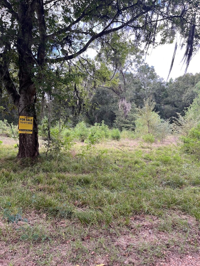 0 N Francies, Shepherd TX, 77371 land for sale