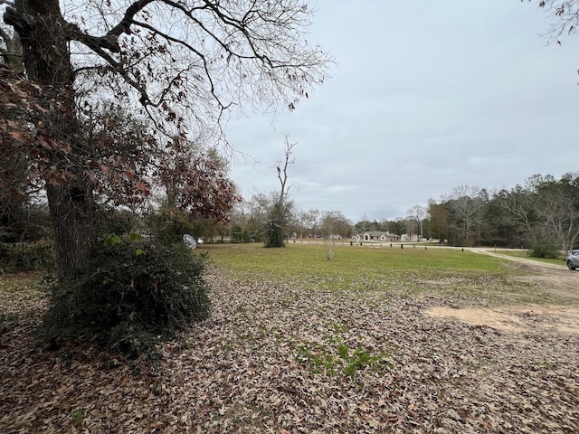 view of yard featuring a rural view