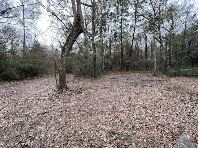 9660 Fostoria Rd, Cleveland, TX 77328 - photo 20
