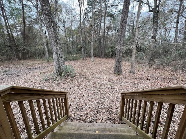 9660 Fostoria Rd, Cleveland, TX 77328 - photo 18