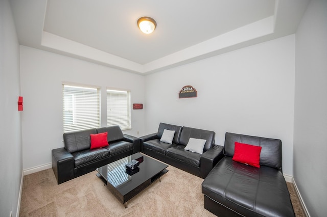 carpeted living room with a raised ceiling