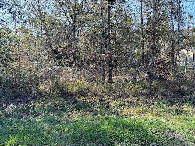 25968 Thatcham, New Caney TX, 77357 land for sale