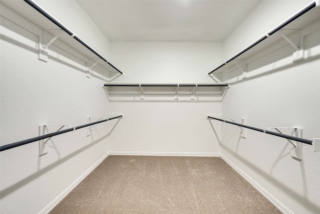 spacious closet with carpet flooring