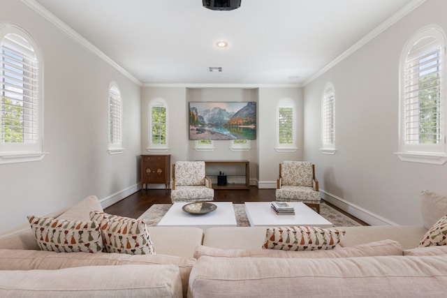 living room featuring dark hardwood / wood-style floors and crown molding