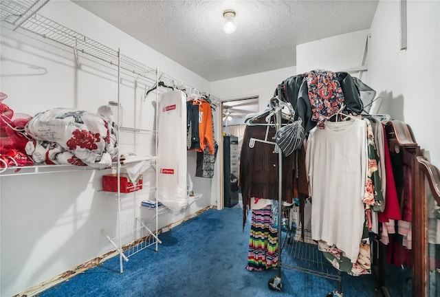 walk in closet with carpet