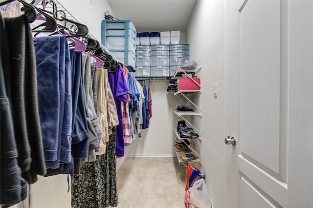 spacious closet with carpet flooring