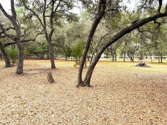 view of surrounding community