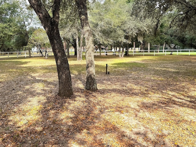 view of yard with a rural view