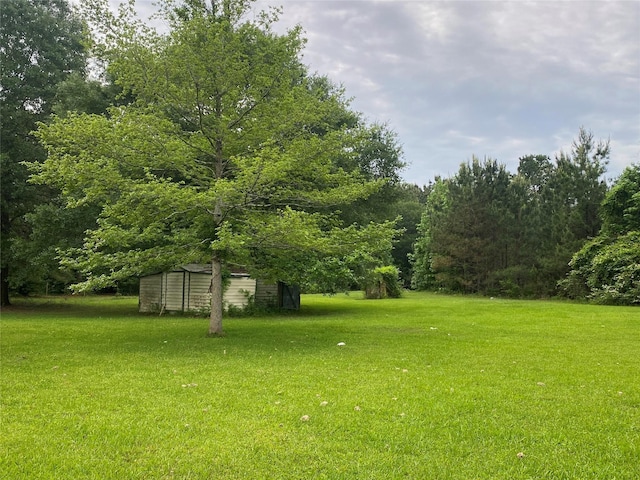 view of yard featuring a storage shed and an outdoor structure