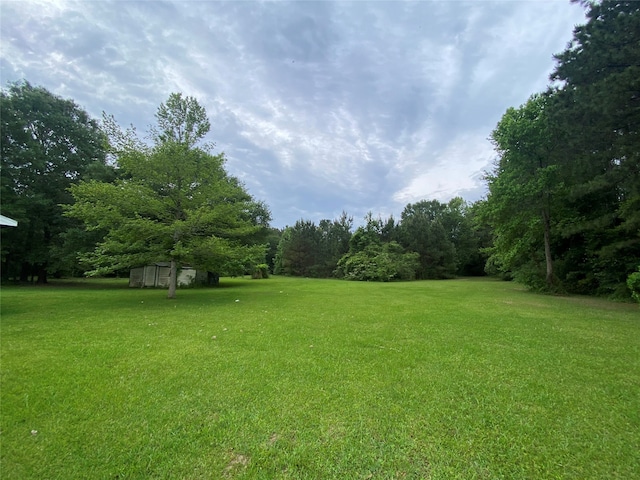 view of yard with a shed