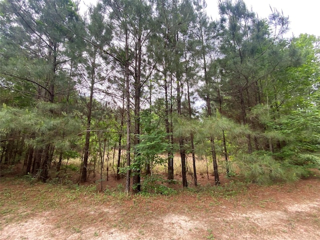 view of local wilderness featuring a wooded view