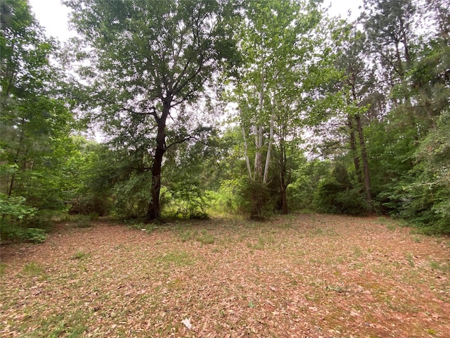 view of nature with a wooded view