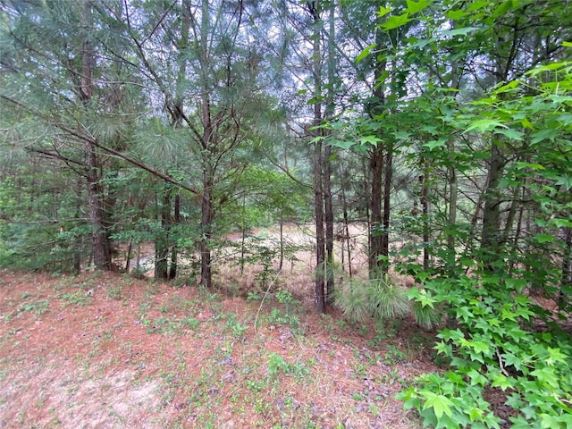 view of nature featuring a wooded view