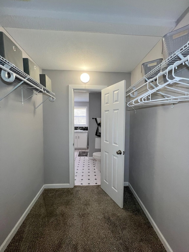 spacious closet featuring carpet floors