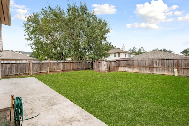 view of yard featuring a patio and a storage unit