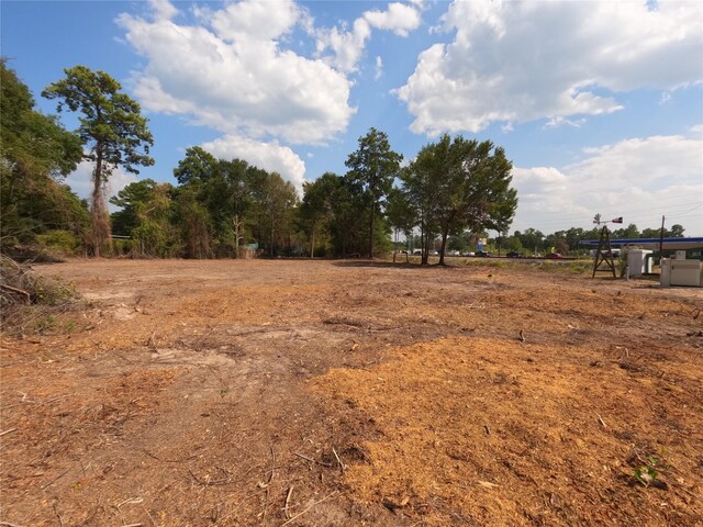 TBD N Cripple Creek Dr, Magnolia, TX 77354 - photo 5
