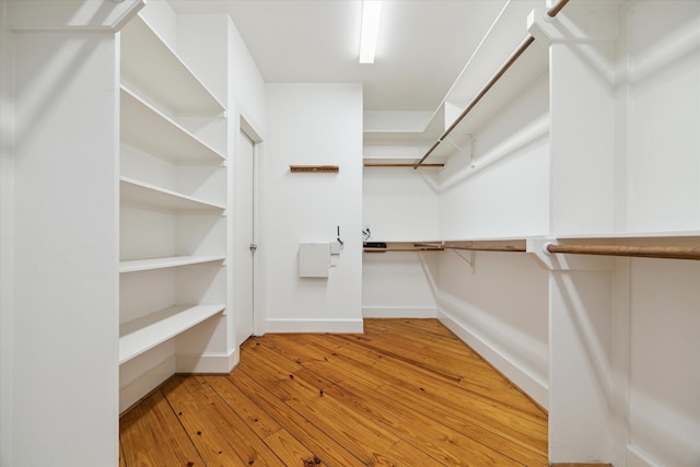 spacious closet with hardwood / wood-style flooring