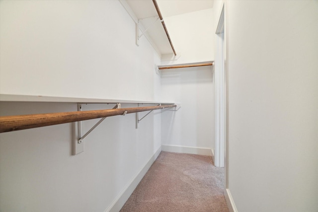 walk in closet featuring light carpet