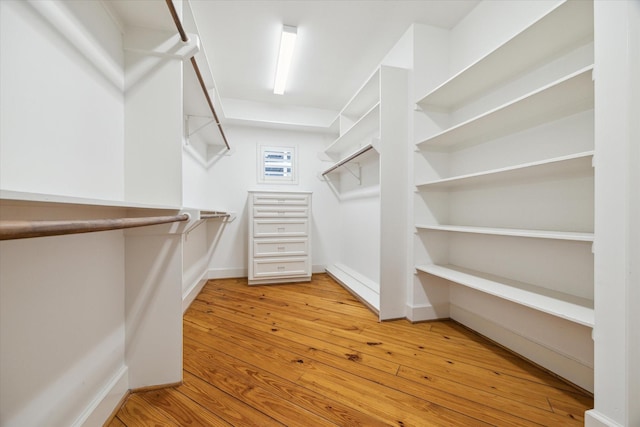 spacious closet featuring light hardwood / wood-style floors