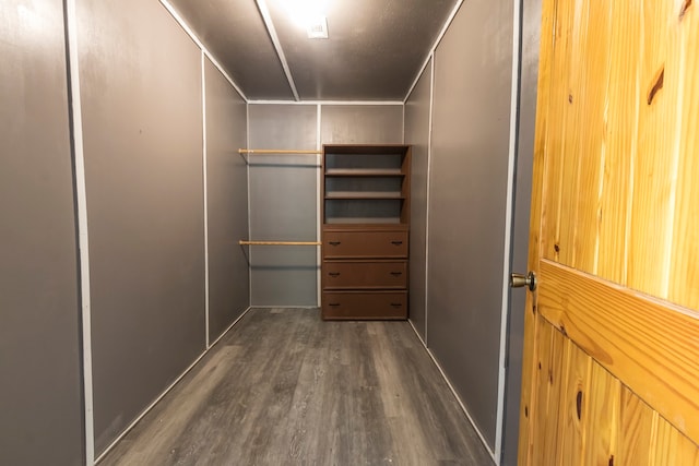 spacious closet featuring dark wood-type flooring