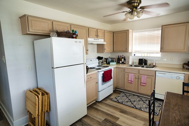 kitchen featuring sink, light brown cabinetry, ceiling fan, hardwood / wood-style floors, and white appliances