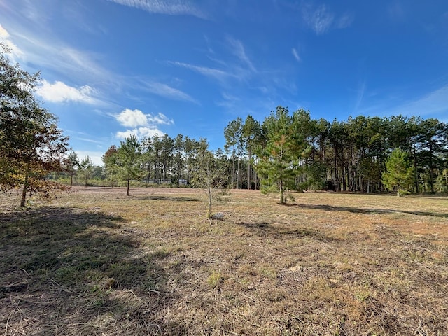 Listing photo 3 for 212 County Road 5002, Cleveland TX 77327