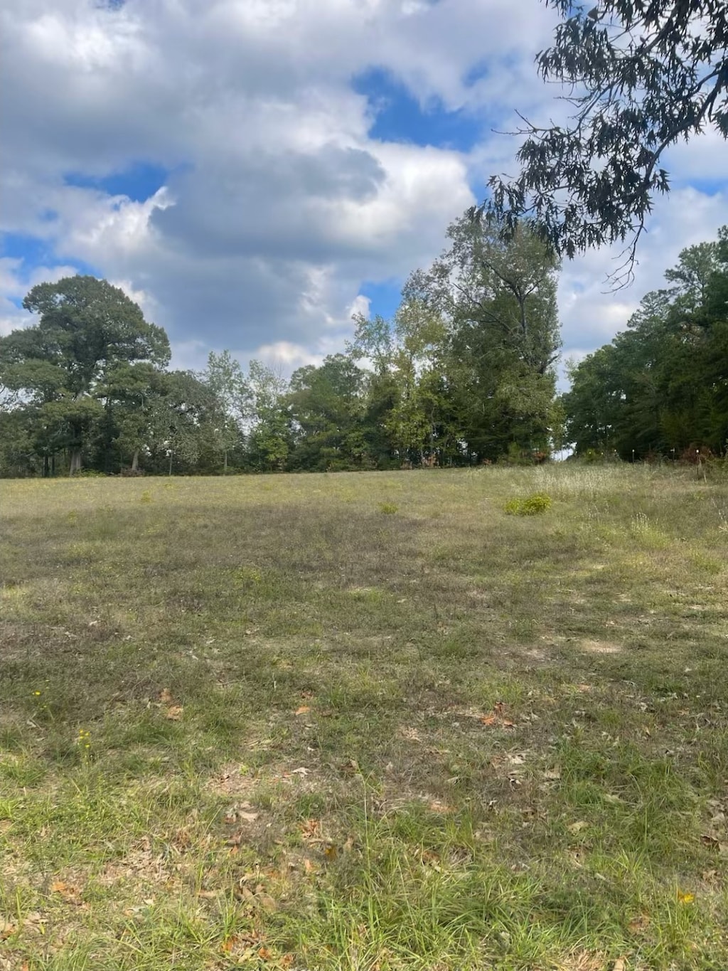 5949 Highline Dr, Montgomery, TX 77316