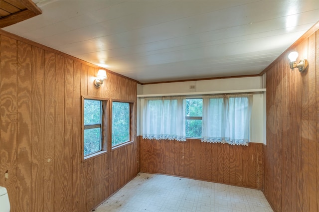 empty room with a wealth of natural light and wooden walls