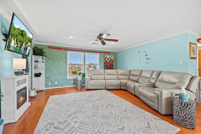 living room featuring ceiling fan, light hardwood / wood-style floors, and crown molding