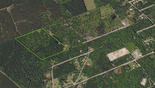 331 Hollywood St, Livingston TX, 77351 land for sale