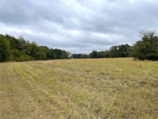 Listing photo 2 for TBD Fm 1365 Road, Teague TX 75860