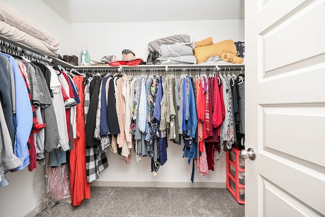 walk in closet with carpet floors