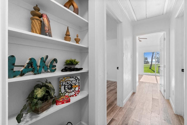 hall featuring light hardwood / wood-style floors and crown molding