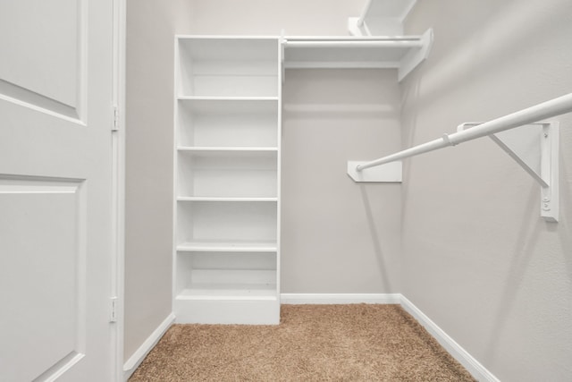 walk in closet featuring carpet floors