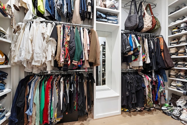 view of spacious closet