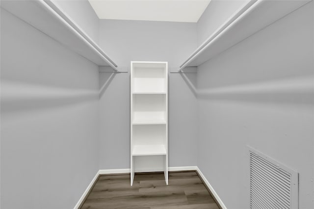 spacious closet with wood-type flooring