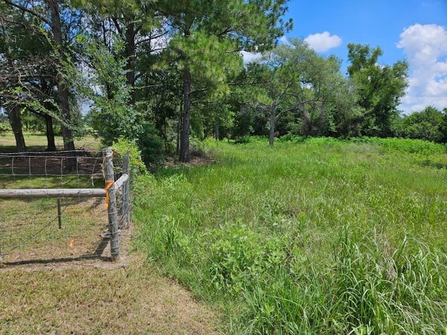 0 Bracewell Rd, Bedias, TX 77831