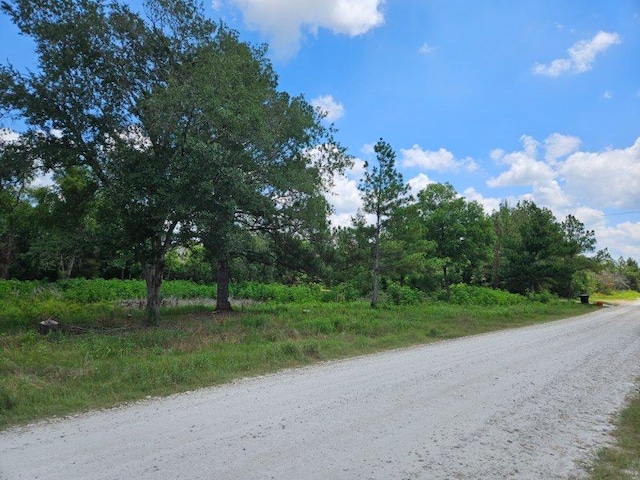 Listing photo 2 for 0 Bracewell Rd, Bedias TX 77831