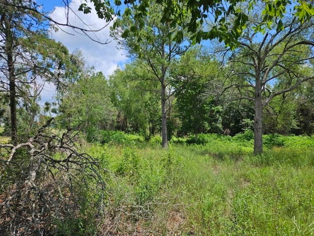 Listing photo 3 for 0 Bracewell Rd, Bedias TX 77831